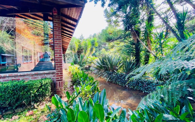 Suites Recanto Dos Plátanos   Suite 01