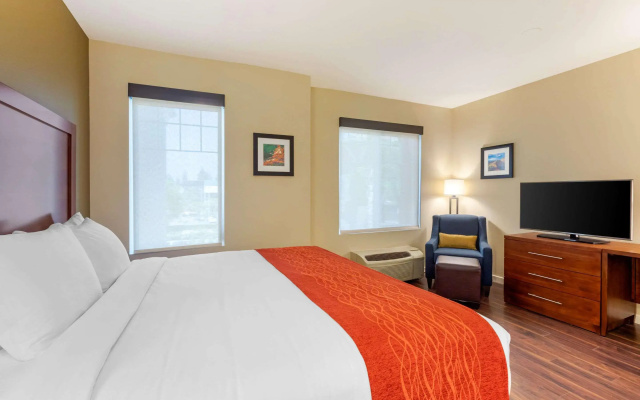 Comfort Inn & Suites near Ontario Airport