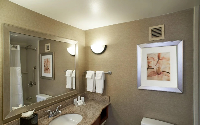 Hilton Garden Inn Atlanta NE/Gwinnett Sugarloaf