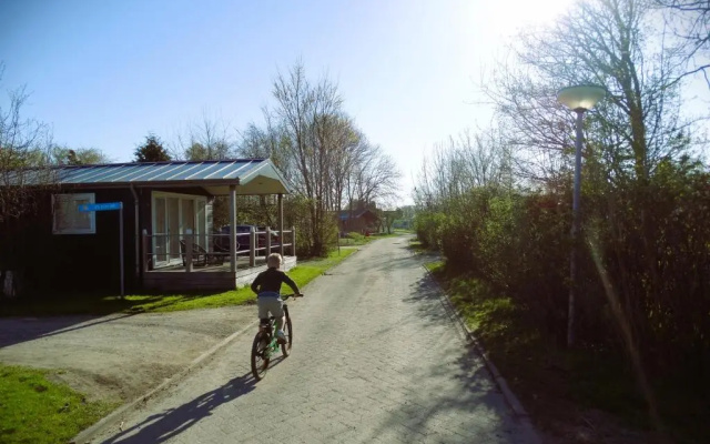 Cabin 33 Grou