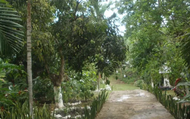 Dunns Villa Resort
