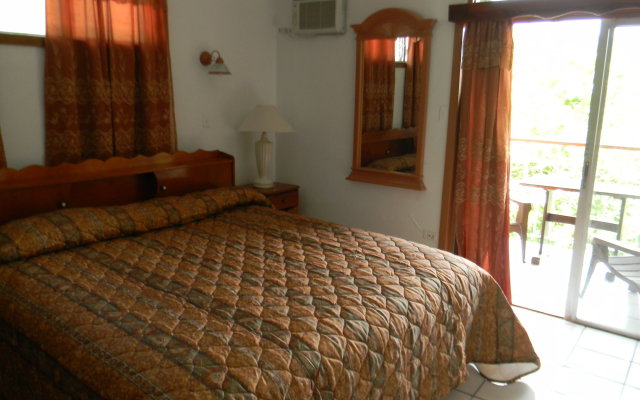 Hotel Castle Maria in Tortola, British Virgin Islands from 204$, photos, reviews - zenhotels.com guestroom