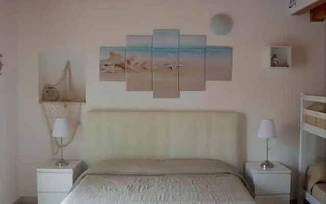 B&B Venus