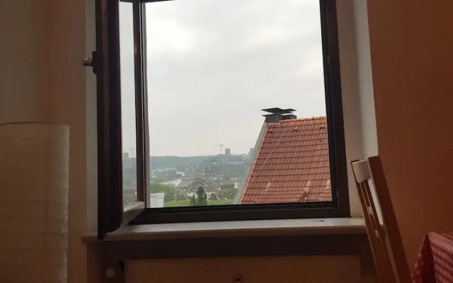 Apartment im Luisenviertel - Grün