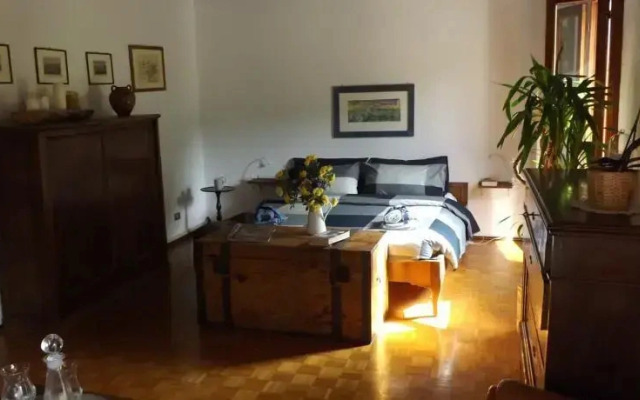 Il Bagolaro
