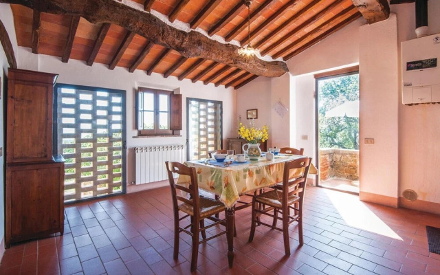 Schivanoia 3