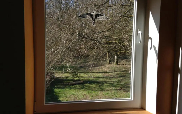 L'aire des oiseaux