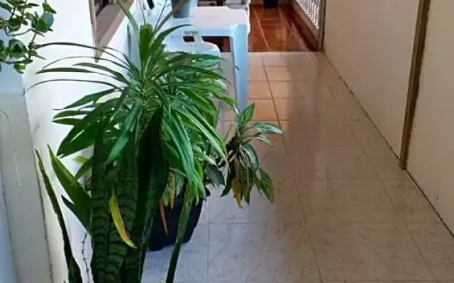 Casa de Maria