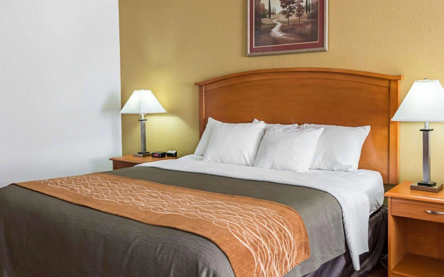 Comfort Inn & Suites Chesapeake - Portsmouth