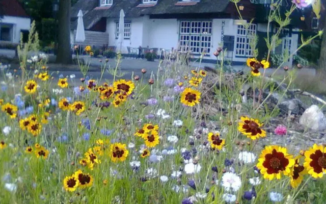 Holiday home Exloo