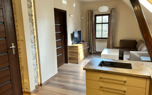 Apartamenty Silva
