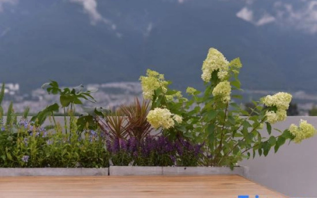 Senyu · Forest | Cangshan View Countryside Homestay (Longkan Wharf Branch)