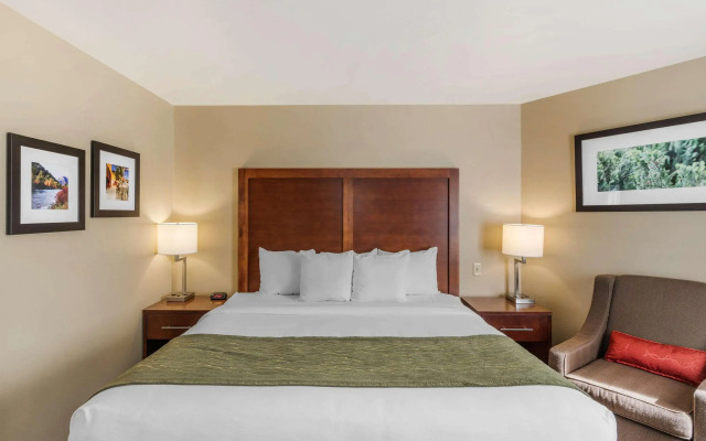 Comfort Inn Missoula near University