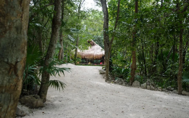 Glamping Mama Loo MM