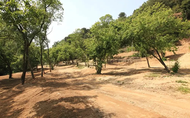 Yangpyeong Saen Farm Pension