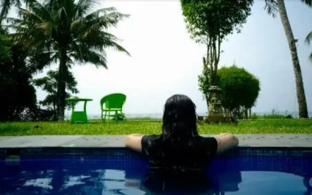 The Lily Pad