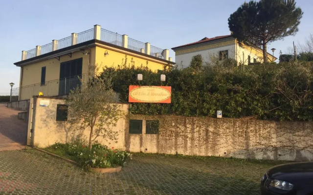 gli ulivi di montalbano 1