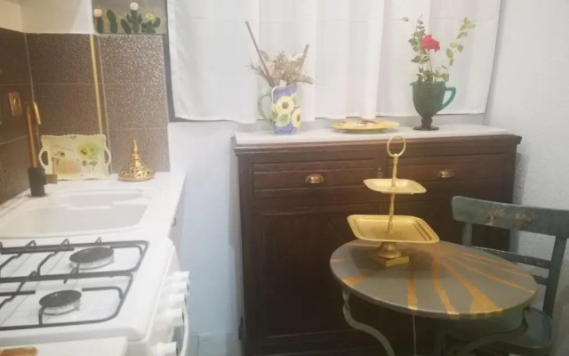Cactus Suite