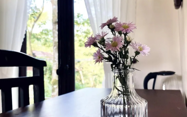 Toom Sara Forest Stay - Danang