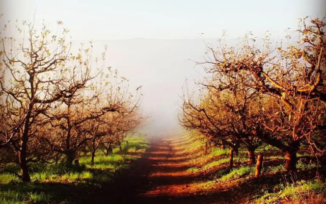 Cheverells Farm