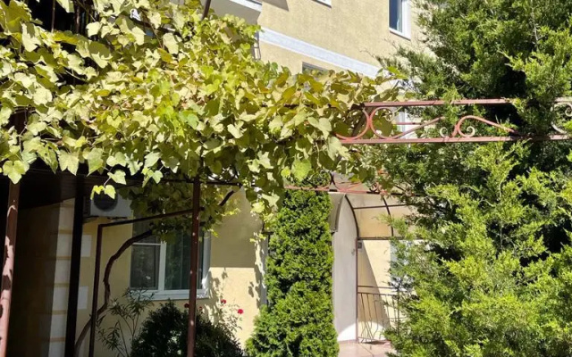 Солнце Тургенева