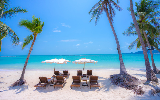 Курортный отель Chaweng Regent Beach Resort