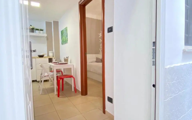 Il Bamboo 1