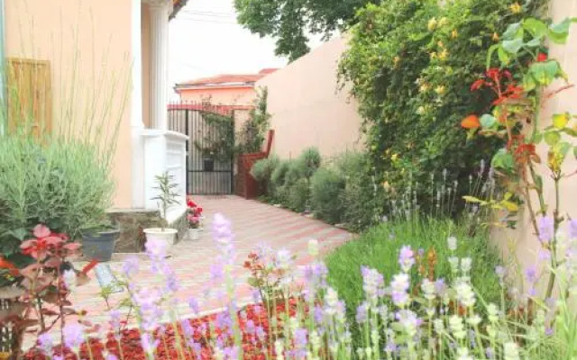 Yox Apartment 3