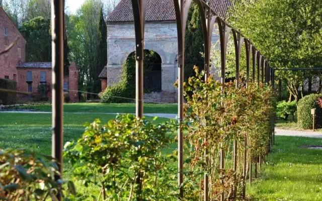 Borgo Venezze