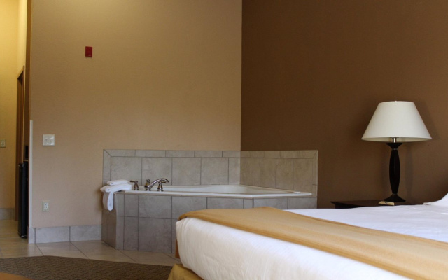 Holiday Inn Express Hotel & Suites Lavonia by IHG