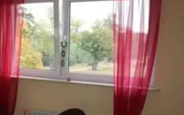 Agropodzamcze