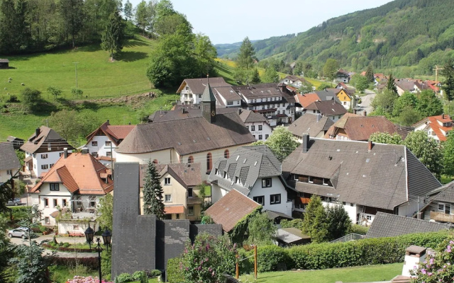 Tranquil Apartment in Elzach with Private Garden