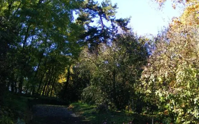 Ketbodonyi Apartmanhaz
