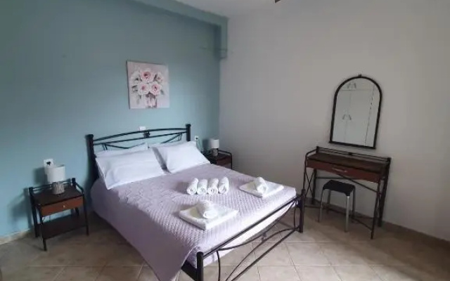 Vivis house
