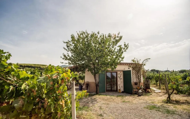 Un' Ottima Annata - La casa nel vigneto