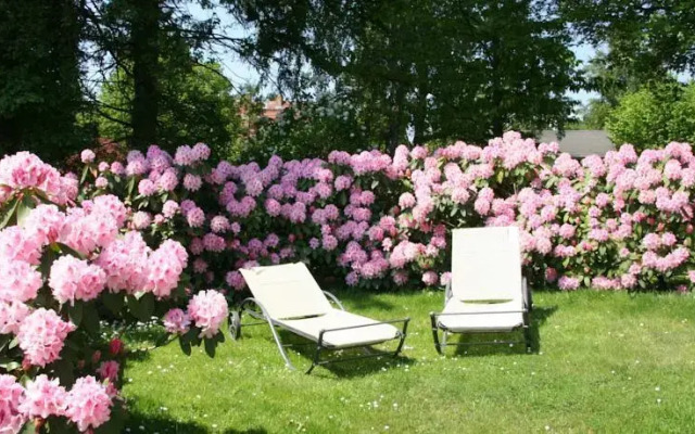Pension Villa Edelweiß