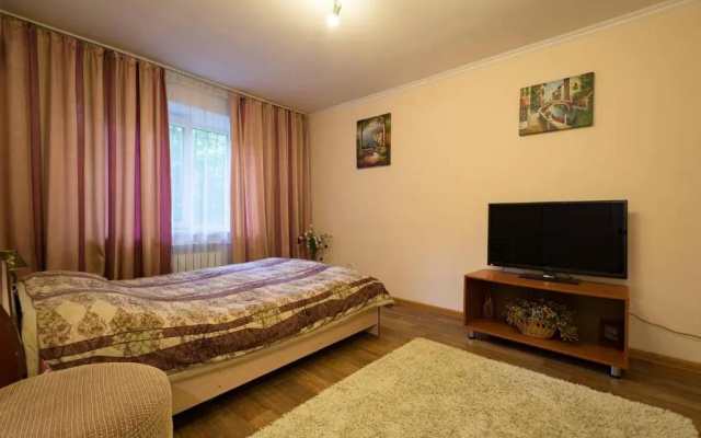 Apartment Nadezhda at Zheltoskan 77/79