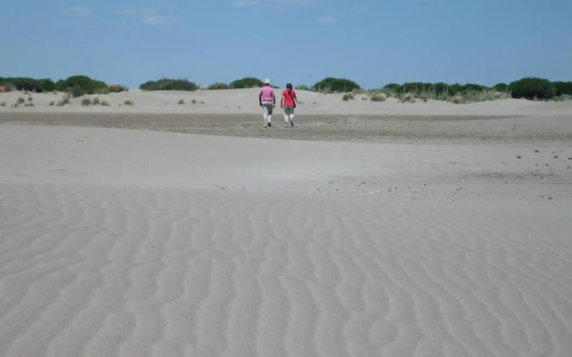 La Nanou'che (roulotte en Camargue)