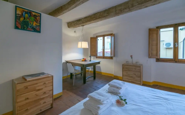 Amorino Studio