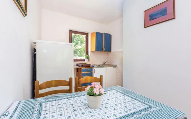 Amazing Apartment in Pinezici With 2 Bedrooms and Wifi