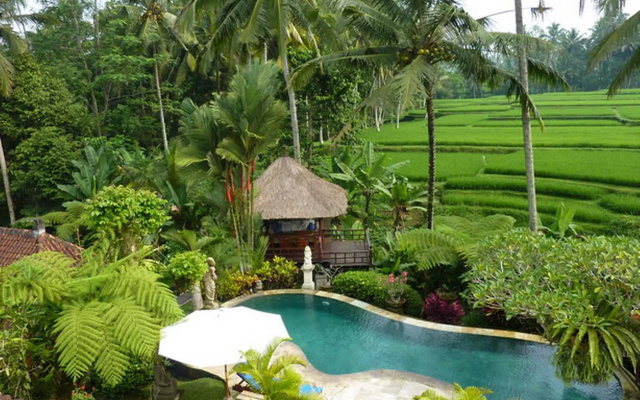 Villa Orchid Bali