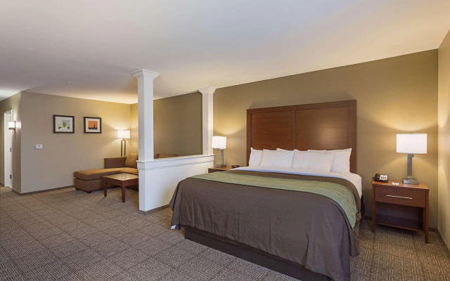 Comfort Inn & Suites Zachary