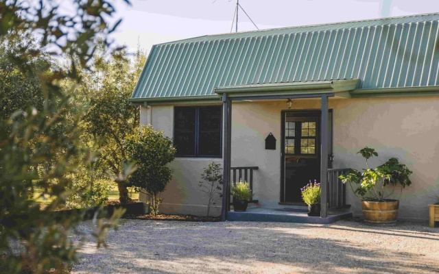 Olive & Vine Estate