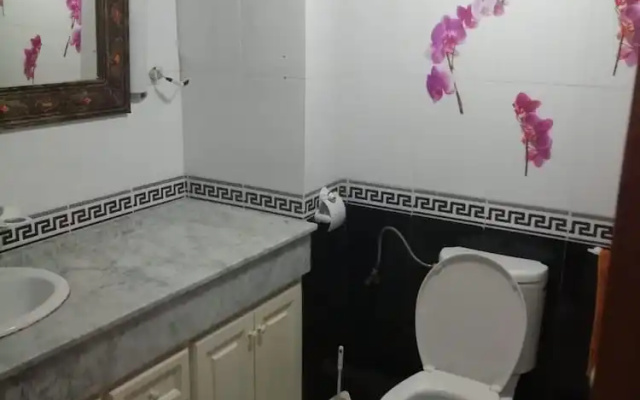 Well Furnished Apartment in City Center
