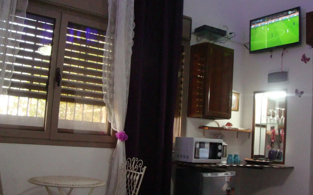 Tamer guest house