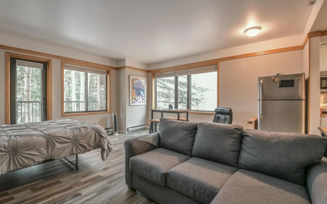 Slopeside 2730