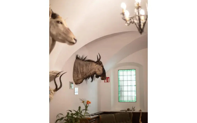 Hotel Zum goldenen Hirschen