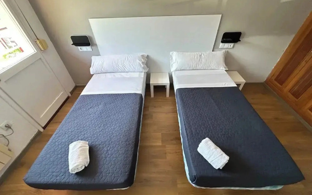 palmeras