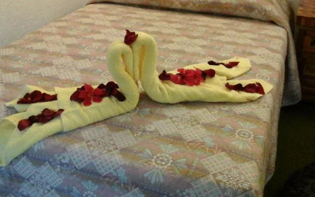 Hotel Ideal