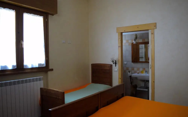B&B Animali Selvaggi